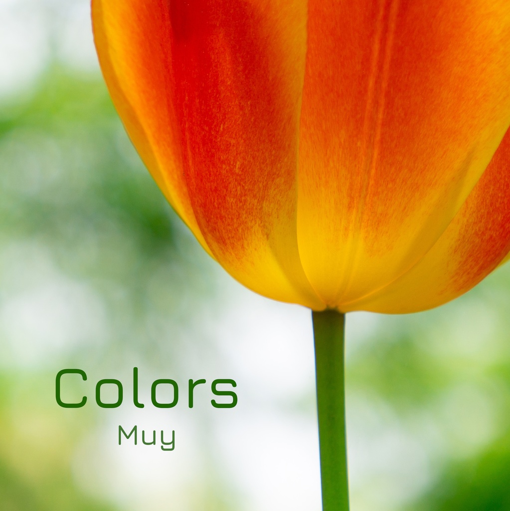 【写真集】Colors