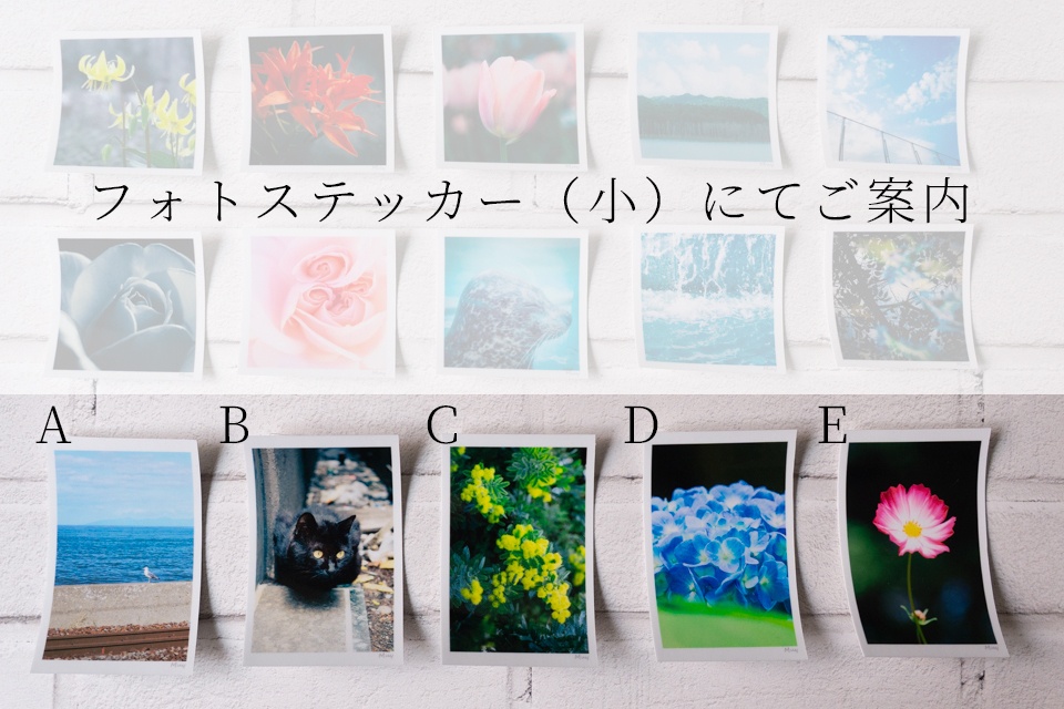 フォトステッカー（大）