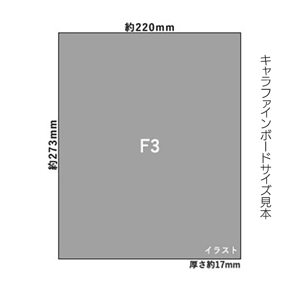 【受注生産】エヴァーメイデン アートコレクション