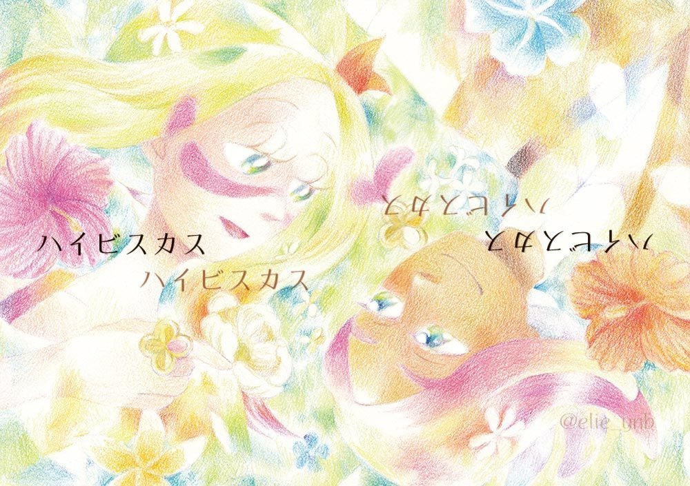 ハイビスカス・ハイビスカス