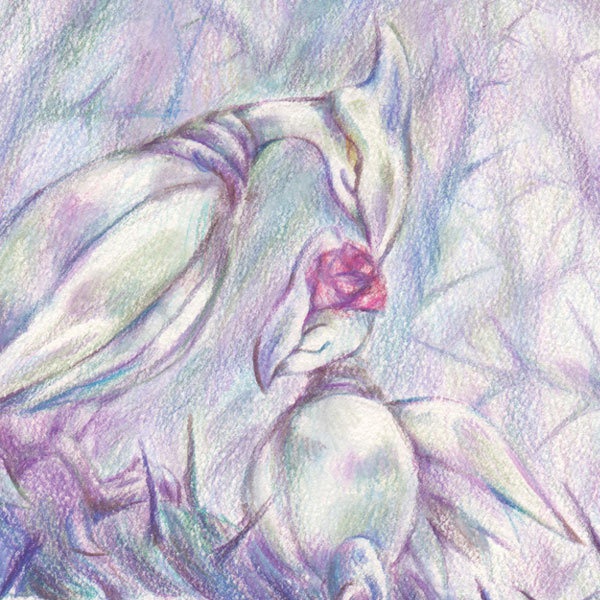 イラストカードセット「森」