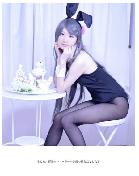 もしも、野生のバニーガールが僕の彼女だとしたら