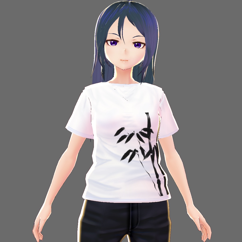 【VRoid用テクスチャ】Tシャツ詰め合わせ【10枚】