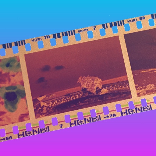 百合お手紙+百合フイルムセット