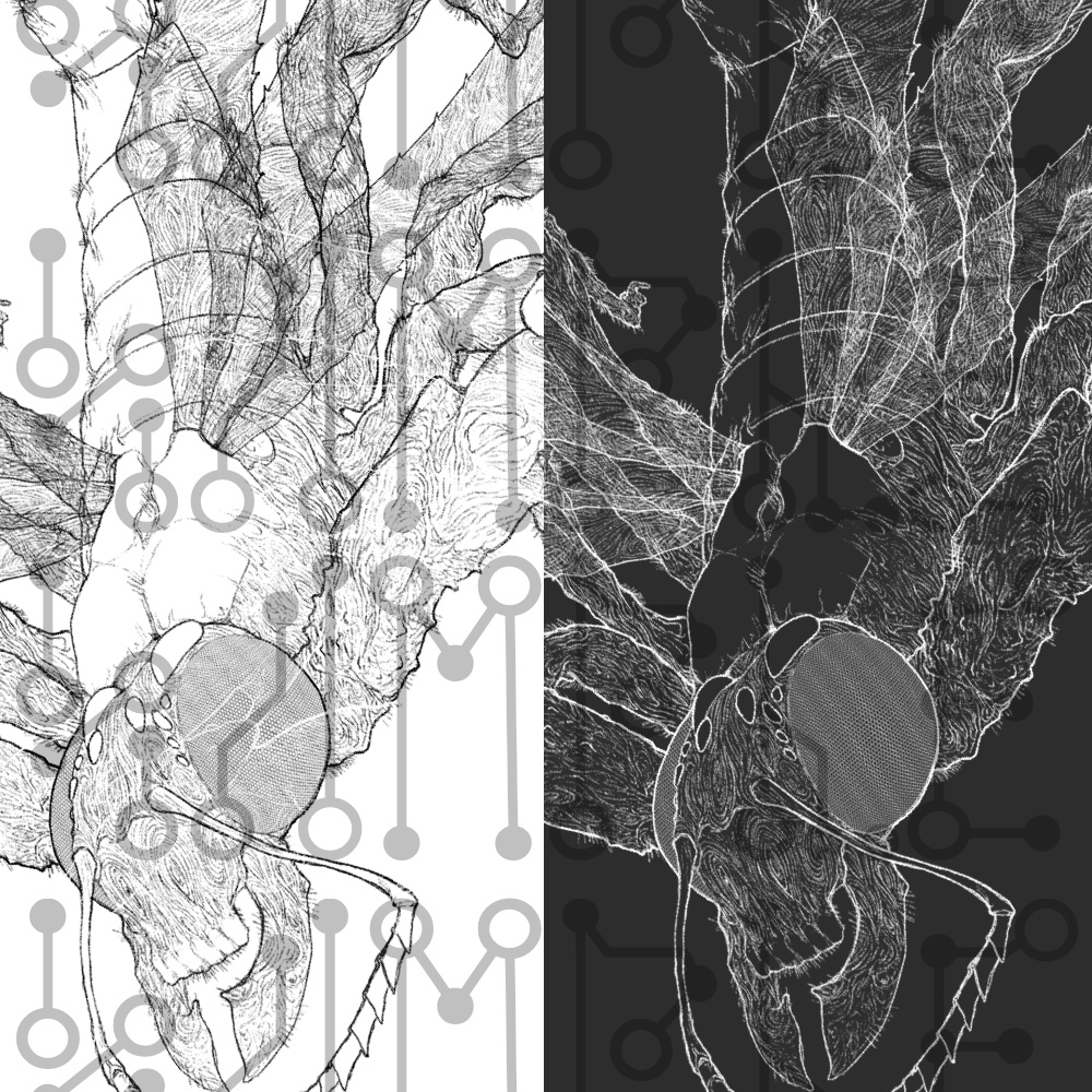 神話生物素材集Vol.1000