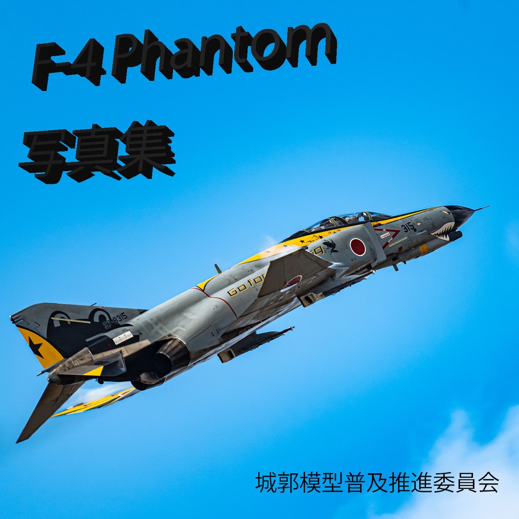 アメリカ海軍 イギリス空軍 F-4 Phantom タグ 実機 外板 AD-
