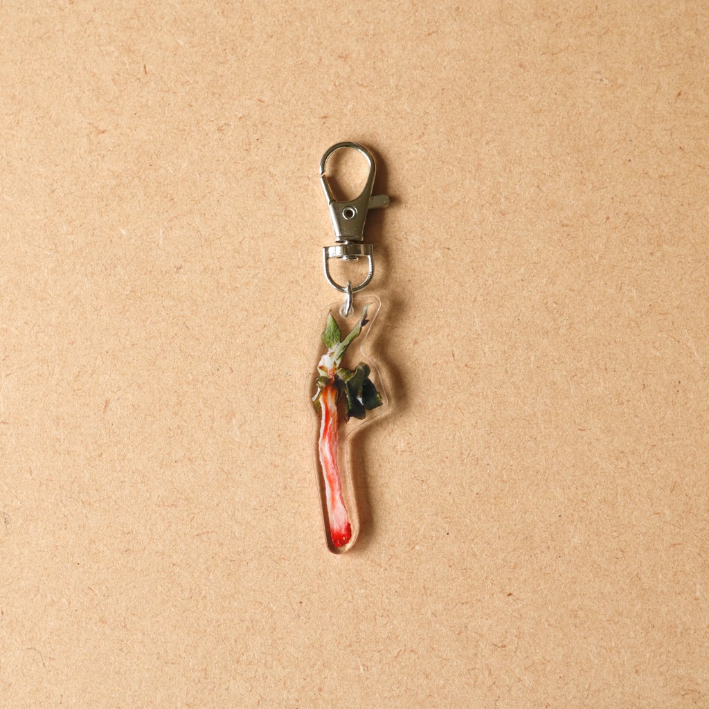 イチゴ　アクキー