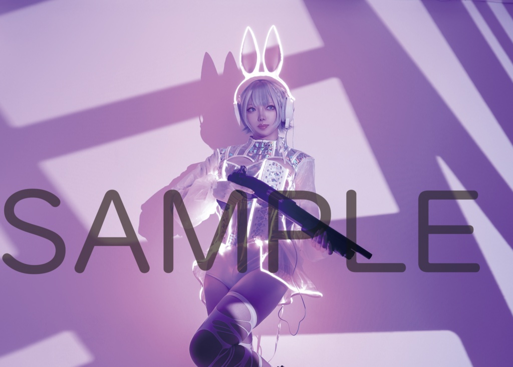 ※単品 高身長×サイバーBunny デジタルROM【C107/冬コミ】