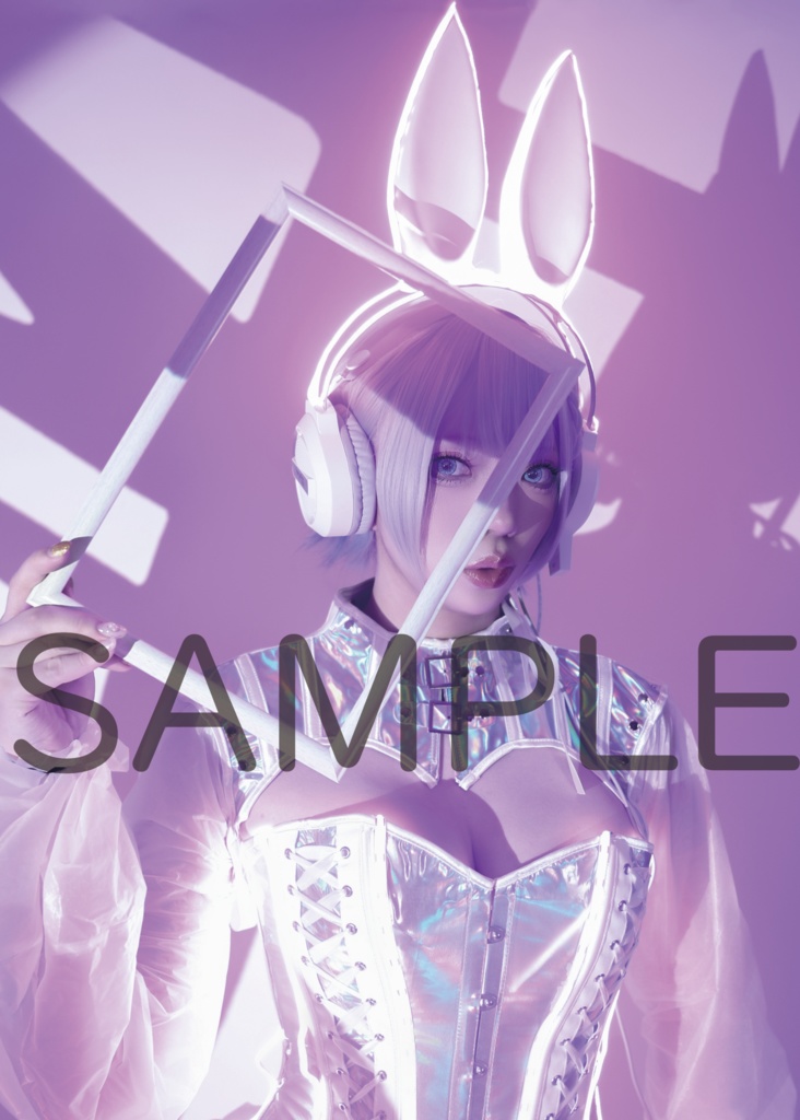 ※単品 高身長×サイバーBunny デジタルROM【C107/冬コミ】