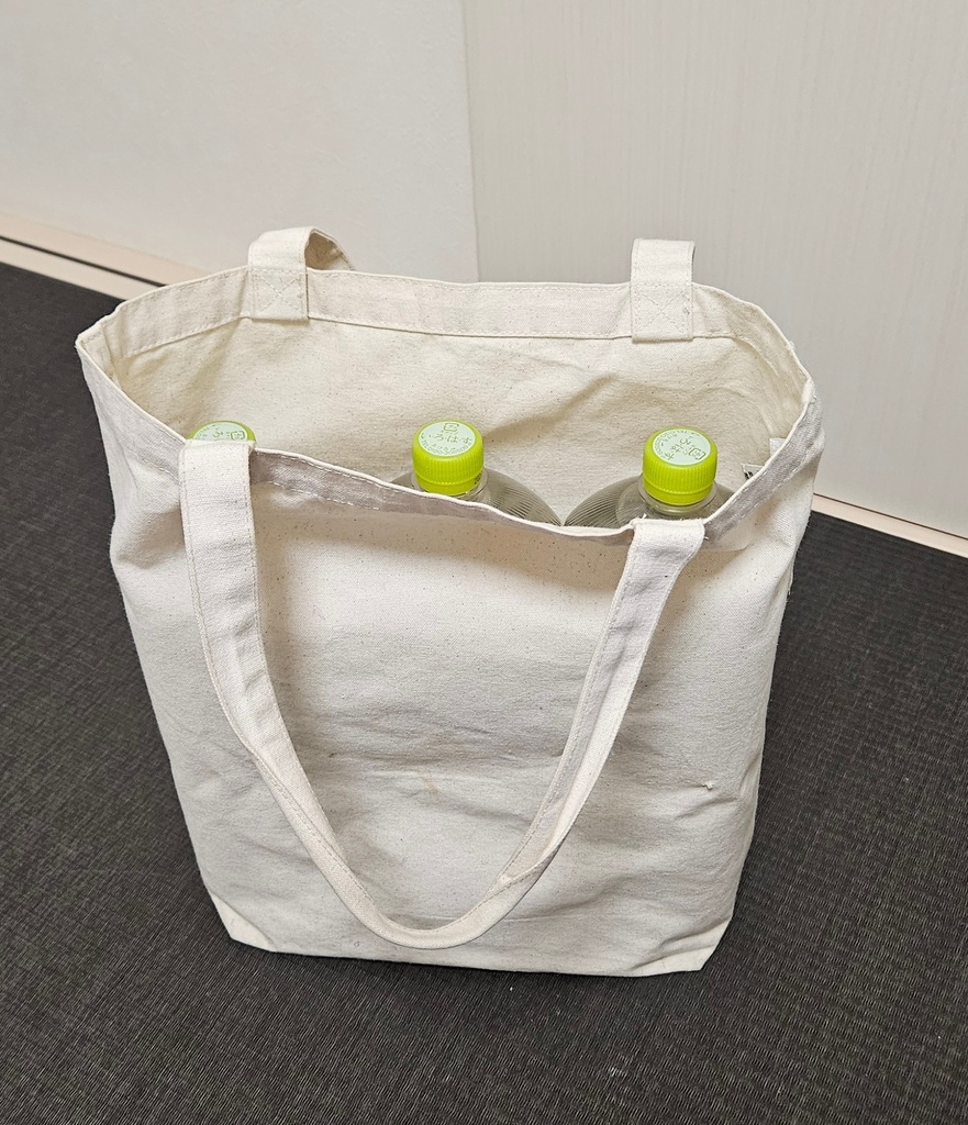 EF81大集合トートバッグ(M)