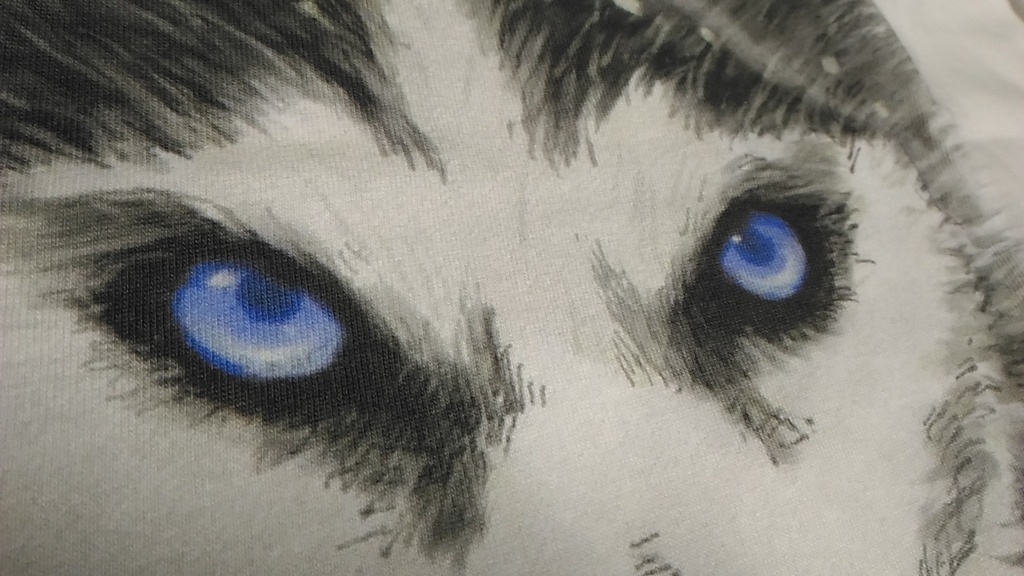 わんこTレディース(ハスキー)