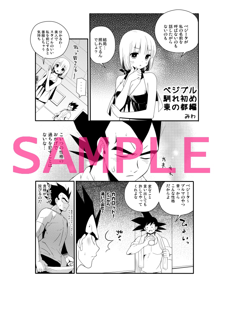 【完売】VB SUMMER Fes