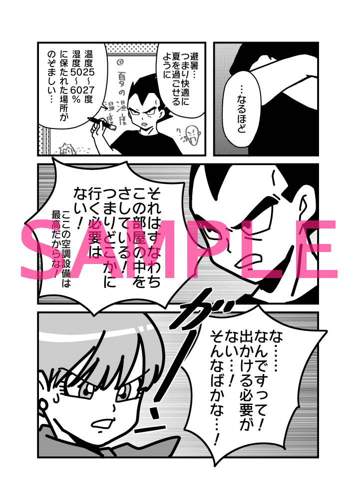 【完売】VB SUMMER Fes