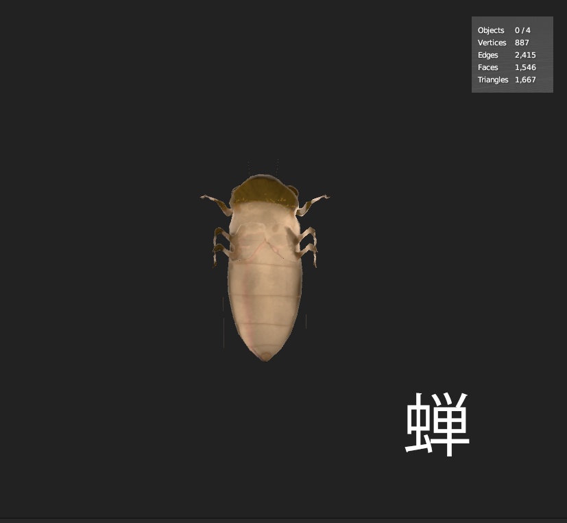 【VRChat/3D Model】蝉 cicada