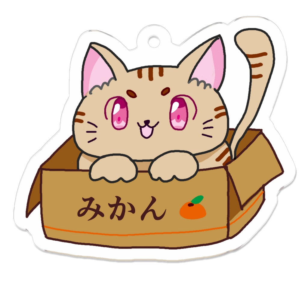 みかん箱がお気に入り