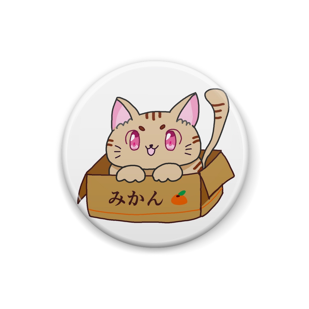 みかん箱がお気に入り