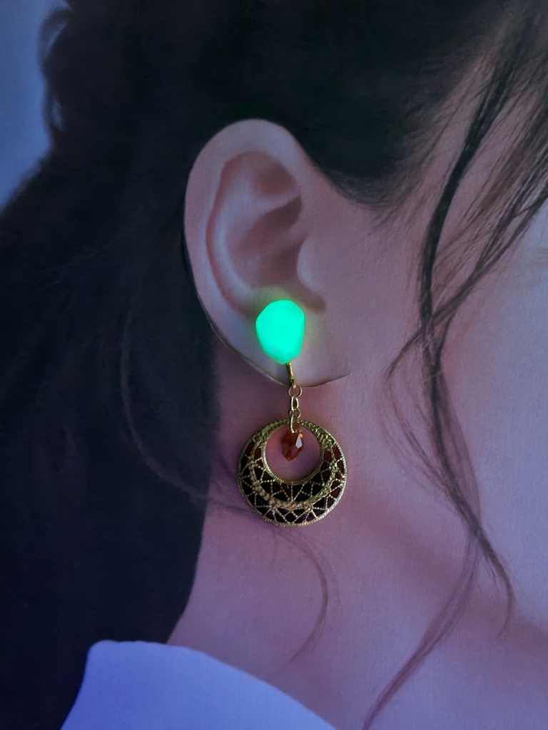 ゼルダの伝説 ブレスオブザワイルド*ゲルド族の英傑 イメージイヤリング