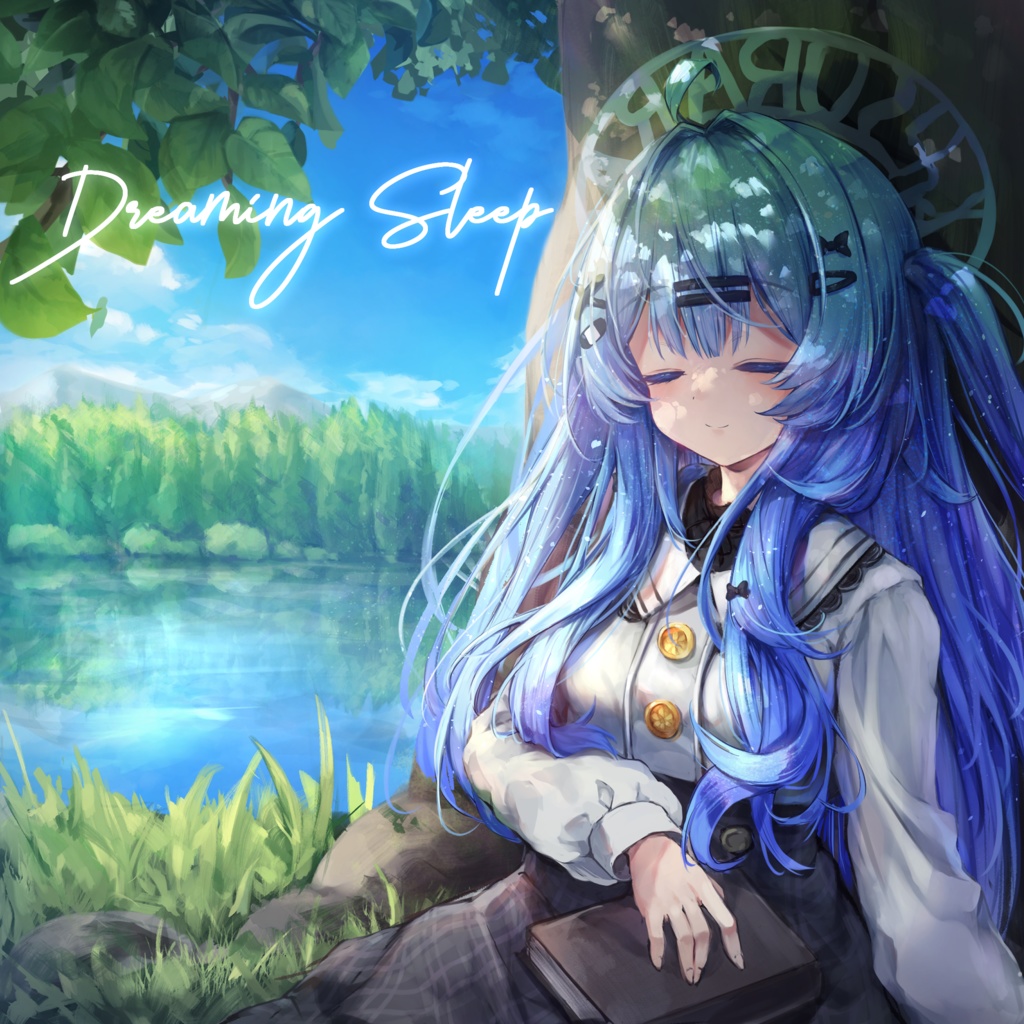 Dreaming Sleep