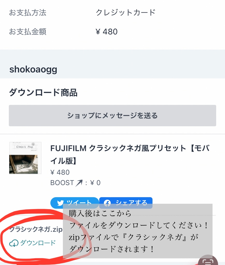 FUJIFILM クラシックネガ風プリセット【モバイル版】