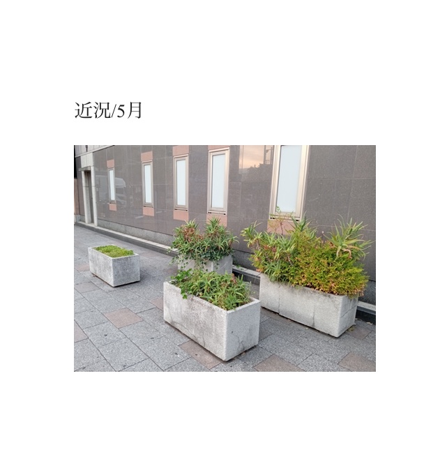 近況/５月