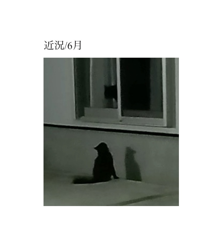 近況/6月