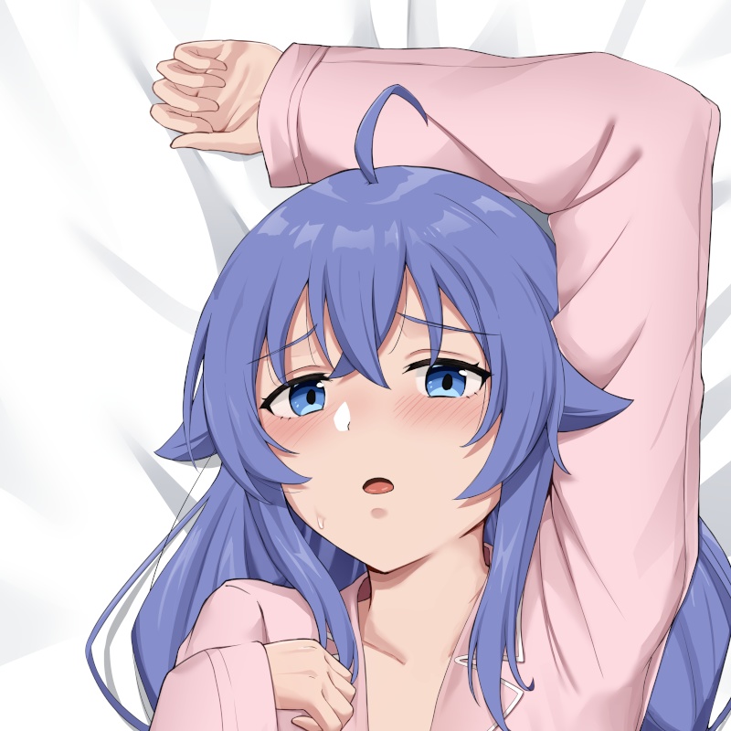 Roxy Dakimakura ロキシー抱き枕カバー