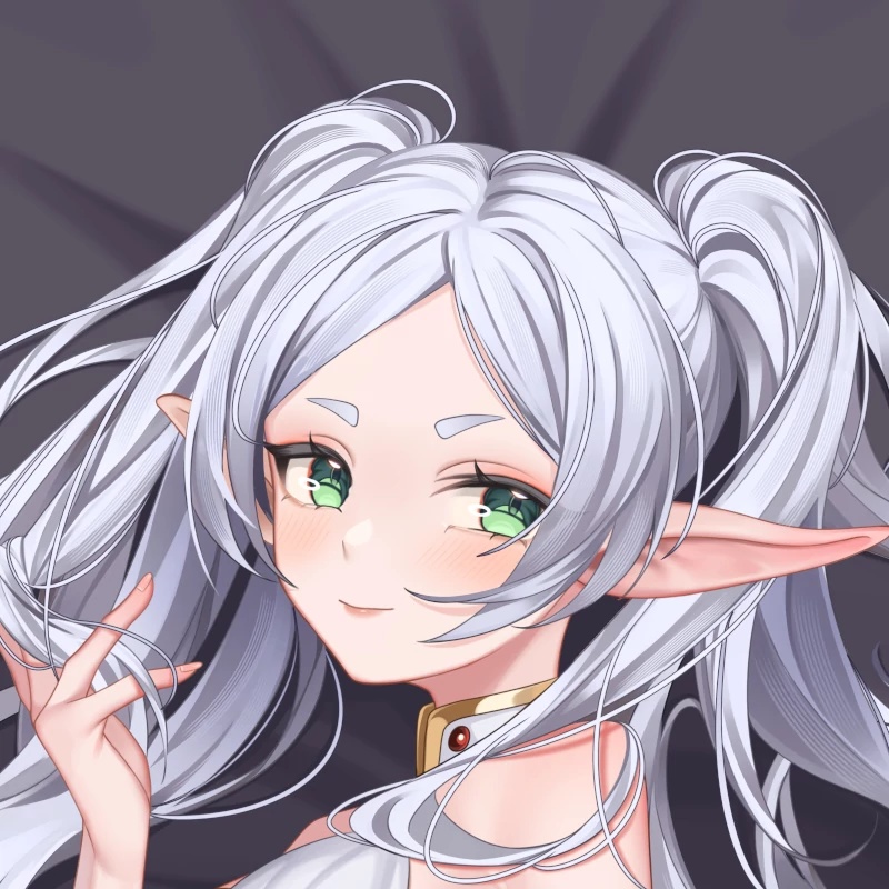 Frieren Dakimakura フリーレン抱き枕カバー