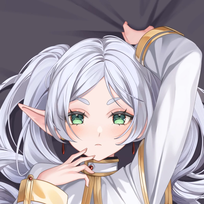 Frieren Dakimakura フリー...