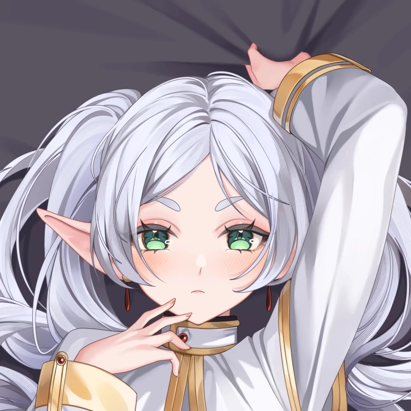 Frieren Dakimakura フリーレン抱き枕カバー