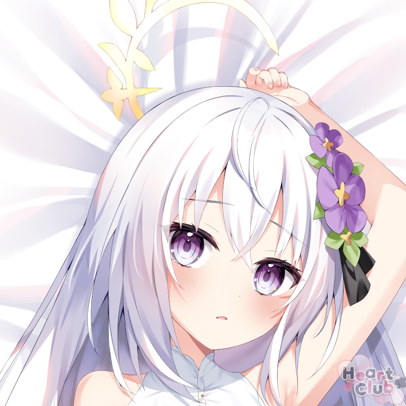 Azusa Dakimakura | アズサ抱き枕カバー