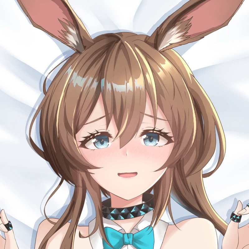 Amiya Dakimakura | アーミヤ 抱き枕カバー