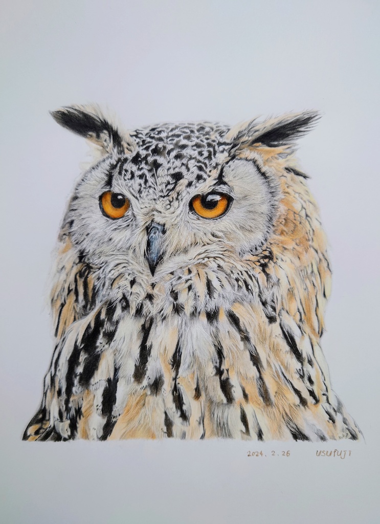 【非売品】摸写 ベンガルワシミミズク