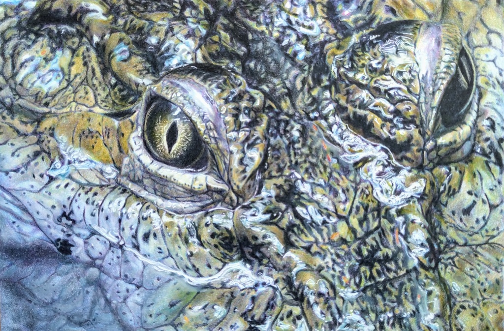 【非売品】摸写 ワニ