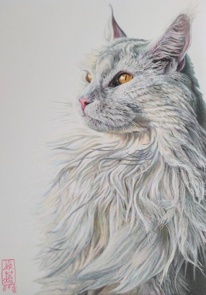 摸写 猫