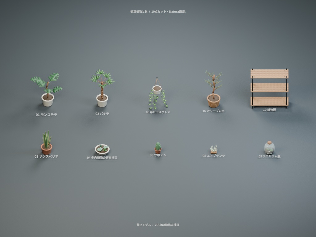 観葉植物と鉢 10種セット 4色カラバリ付き【ローポリ3Dモデル】