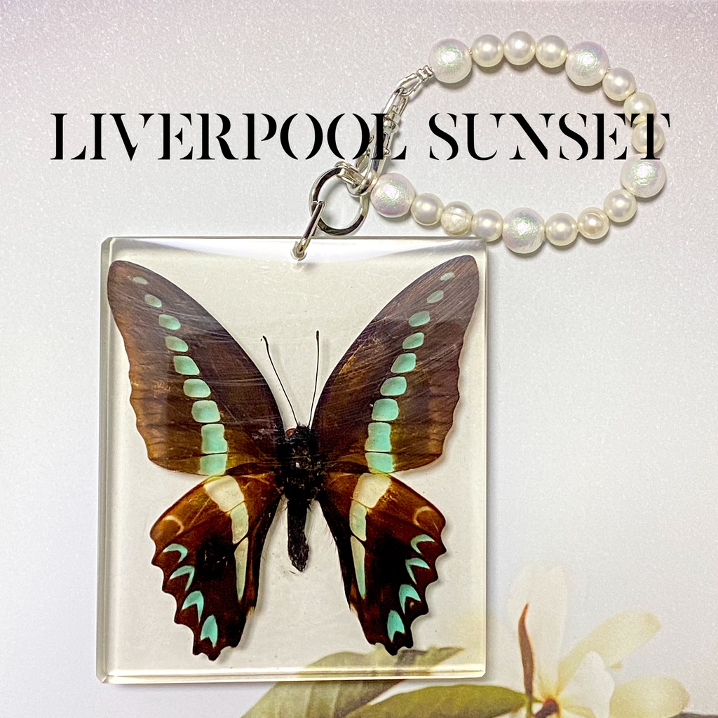 ｷﾝｸﾞｽﾏﾝGC / 白い部屋