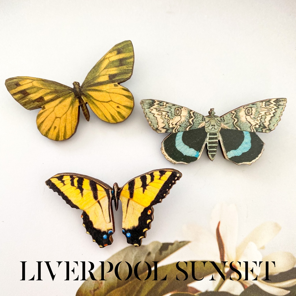 ｷﾝｸﾞｽﾏﾝGC / 幻覚(Type-D)