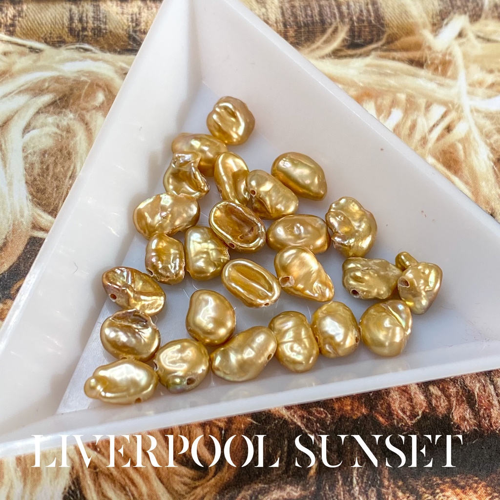 TENET / 11/26(Protagoneil)