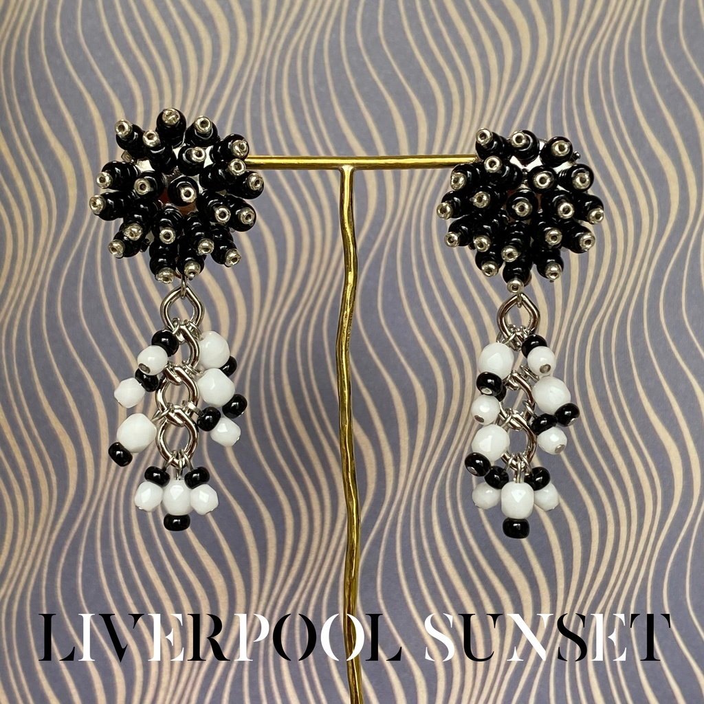 ﾋﾞﾊﾞﾘｳﾑ / 教育