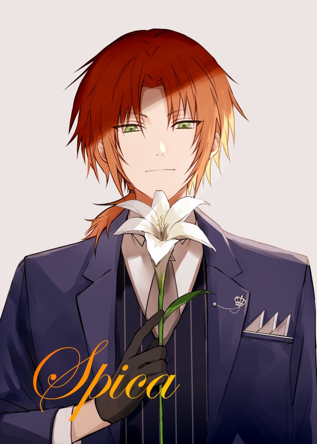 【商品紹介文をお読みください】レオいずイラスト本『Spica』