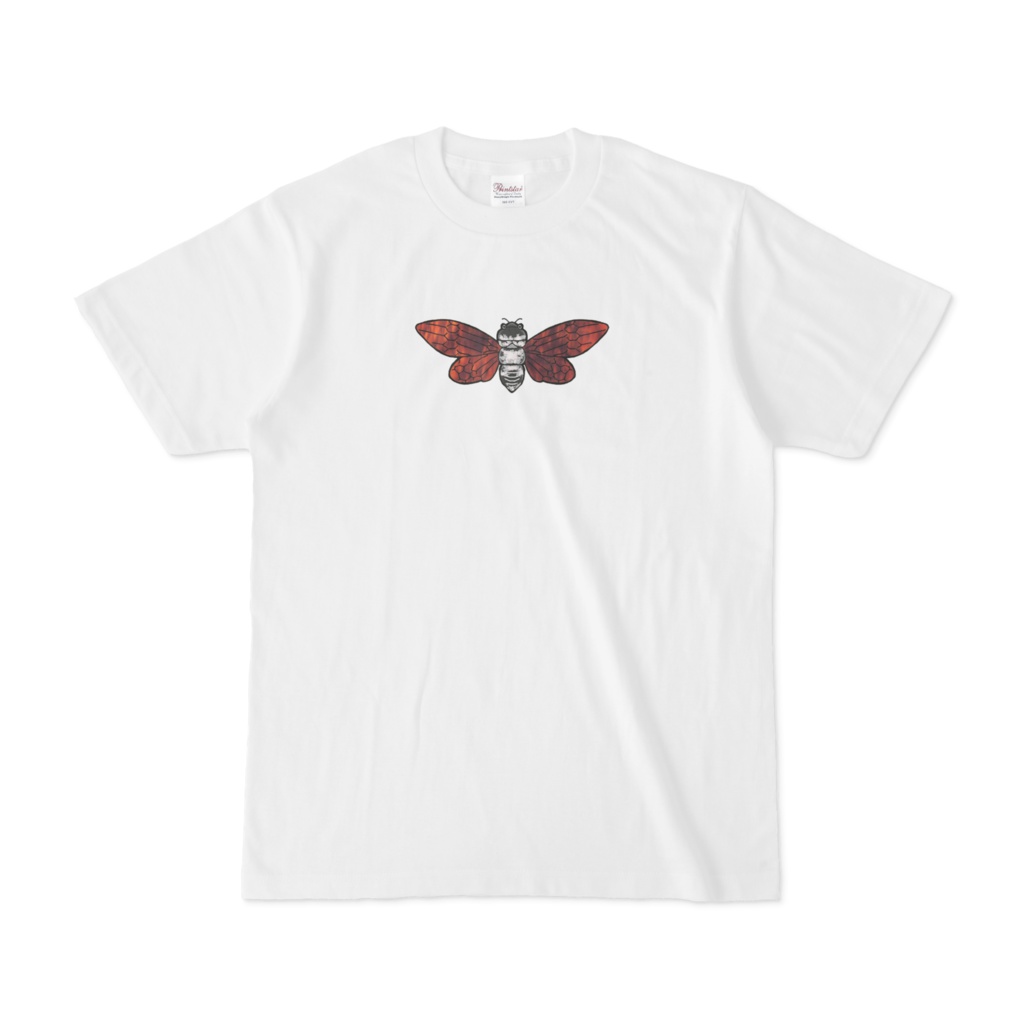 蝉の声無く白Tシャツ(ひ)