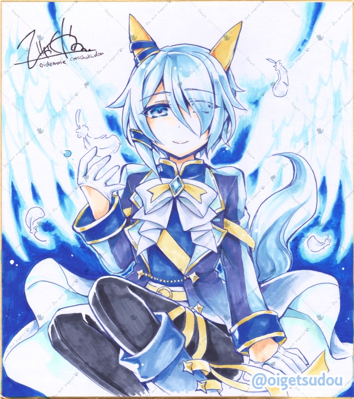 ケイエスミラクル手描き大色紙