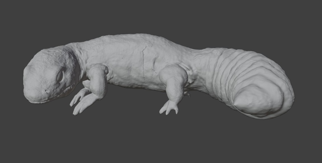 【3Dモデルデータ】トカゲモドキ_リアル