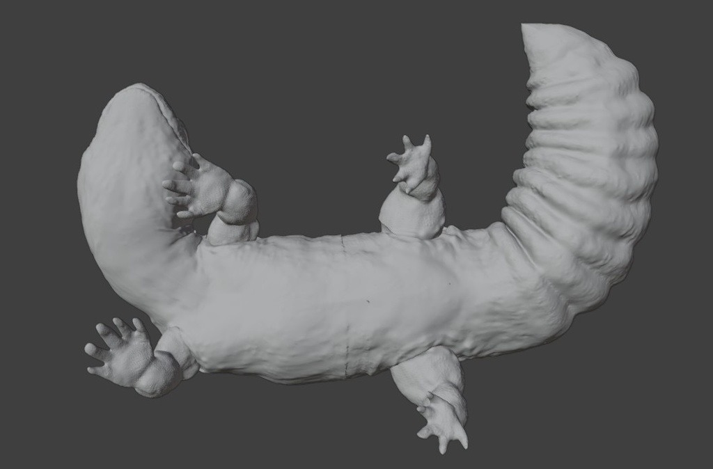 【3Dモデルデータ】トカゲモドキ_リアル