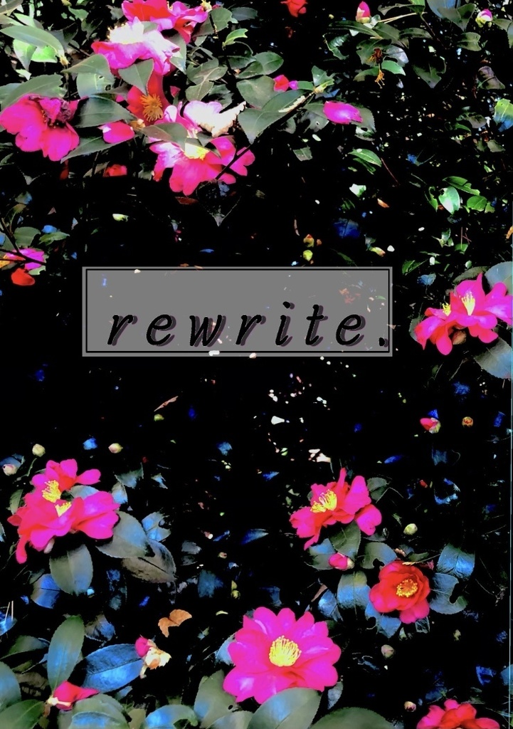デュラリー小説【rewrite】