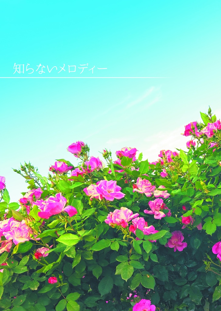 モーカリ小説【知らないメロディー】