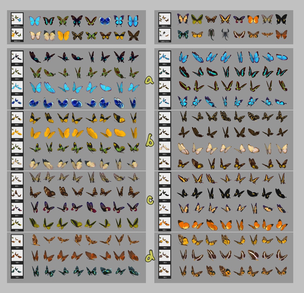 蝶&蛾&サソリ昆虫標本35個集め