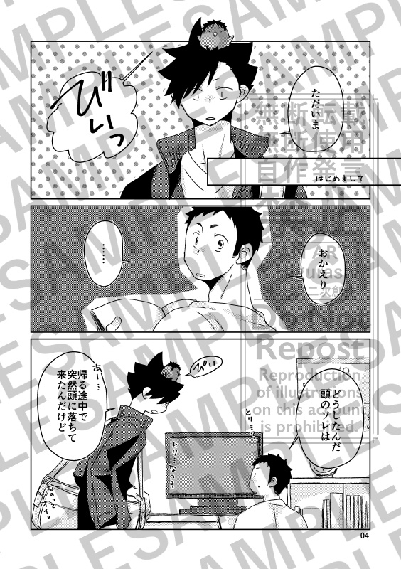 烏と生活。猫との攻防。