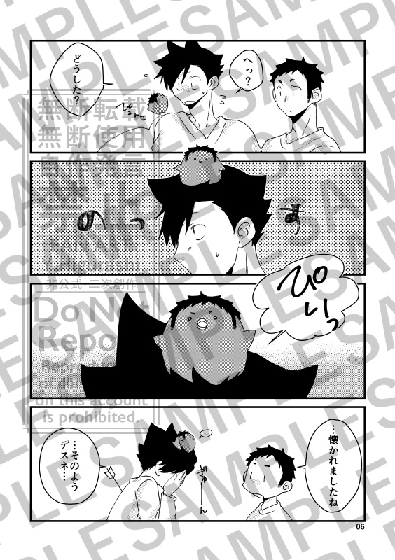 烏と生活。猫との攻防。