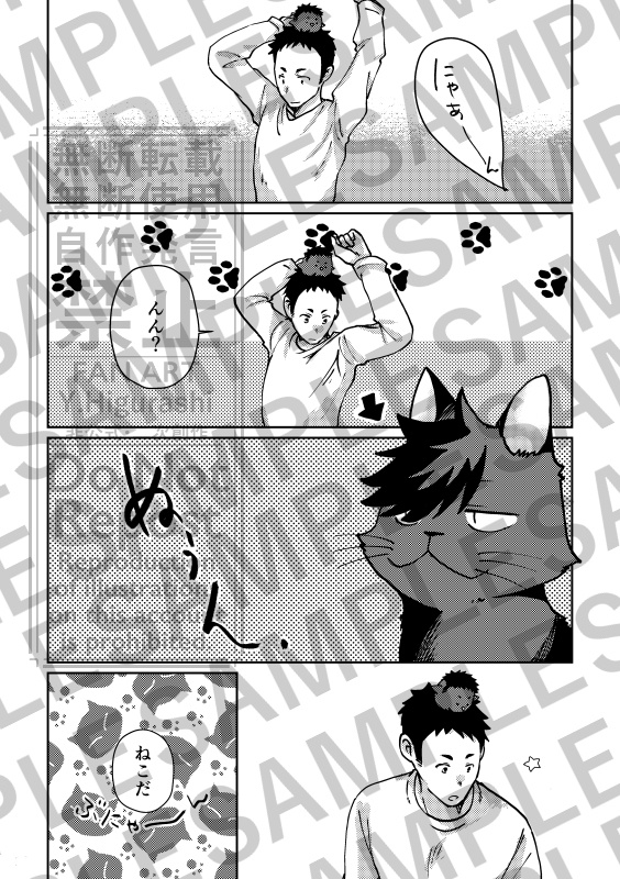 烏と生活。猫との攻防。